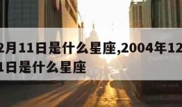 12月11日是什么星座,2004年12月11日是什么星座