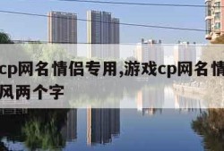 游戏cp网名情侣专用,游戏cp网名情侣专用古风两个字