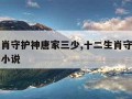 十二生肖守护神唐家三少,十二生肖守护神唐家三少小说