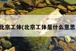 北京工体(北京工体是什么意思)