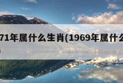 1971年属什么生肖(1969年属什么生肖)