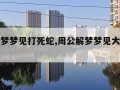 周公解梦梦见打死蛇,周公解梦梦见大蛇是什么预兆