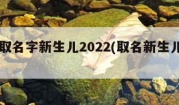 如何取名字新生儿2022(取名新生儿取名)