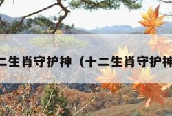 新十二生肖守护神（十二生肖守护神ed2）