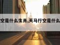 天马行空是什么生肖,天马行空是什么生肖尾数