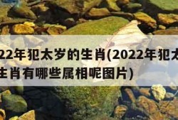 2022年犯太岁的生肖(2022年犯太岁的生肖有哪些属相呢图片)