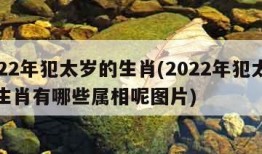 2022年犯太岁的生肖(2022年犯太岁的生肖有哪些属相呢图片)