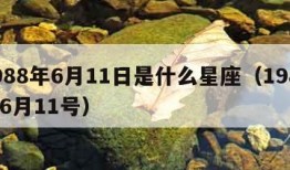 1988年6月11日是什么星座（1988年6月11号）