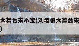 刘老根大舞台宋小宝(刘老根大舞台宋小宝演的武大)