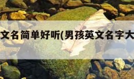 男孩英文名简单好听(男孩英文名字大全及寓意)