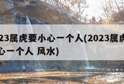 2023属虎要小心一个人(2023属虎要小心一个人 风水)