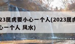 2023属虎要小心一个人(2023属虎要小心一个人 风水)