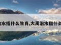 大禹治水指什么生肖,大禹治水指什么生肖?