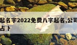 公司起名字2022免费八字起名,公司起名八字占卜