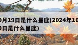 10月19日是什么星座(2024年10月19日是什么星座)