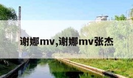 谢娜mv,谢娜mv张杰