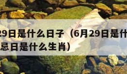 6月29日是什么日子（6月29日是什么日子月忌日是什么生肖）