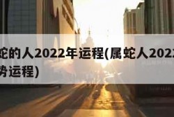 属蛇的人2022年运程(属蛇人2022年运势运程)