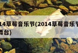 2014草莓音乐节(2014草莓音乐节北京舞台)