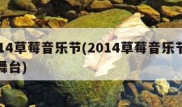 2014草莓音乐节(2014草莓音乐节北京舞台)