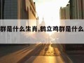 鹤立鸡群是什么生肖,鹤立鸡群是什么生肖打一肖