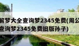 周公解梦大全查询梦2345免费(周公解梦大全查询梦2345免费旧版孙子)