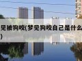 孕妇梦见被狗咬(梦见狗咬自己是什么预兆周公解梦)