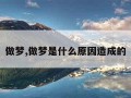 做梦,做梦是什么原因造成的