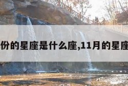 11月份的星座是什么座,11月的星座是啥