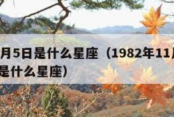 11月5日是什么星座（1982年11月5日是什么星座）