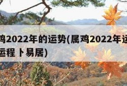 属鸡2022年的运势(属鸡2022年运势及运程卜易居)