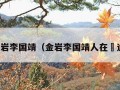 金岩李国靖（金岩李国靖人在囧途）