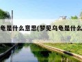 梦见乌龟是什么意思(梦见乌龟是什么意思孕妇)