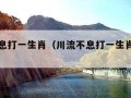 川流不息打一生肖（川流不息打一生肖是什么）