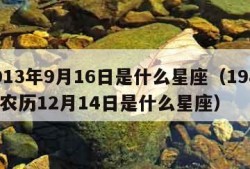 2013年9月16日是什么星座（1983年农历12月14日是什么星座）