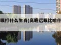 高瞻远瞩打什么生肖(高瞻远瞩比喻什么生肖)