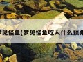 梦见怪鱼(梦见怪鱼吃人什么预兆)