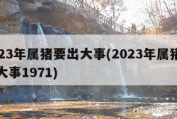 2023年属猪要出大事(2023年属猪要出大事1971)