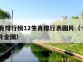 12生肖排行榜12生肖排行表图片（十二生肖图片全图）