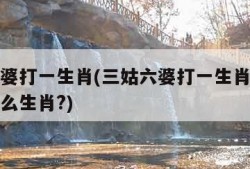 三姑六婆打一生肖(三姑六婆打一生肖最佳答案是什么生肖?)