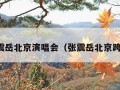 张震岳北京演唱会（张震岳北京跨年）