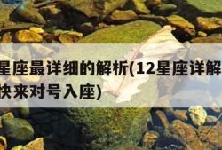 十二星座最详细的解析(12星座详解大全,大家快来对号入座)