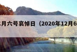 十二月六号哀悼日（2020年12月6日下葬）