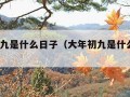 大年初九是什么日子（大年初九是什么日子?）