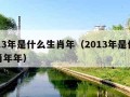 2013年是什么生肖年（2013年是什么生肖年年）