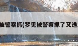 梦见被警察抓(梦见被警察抓了又逃跑了)