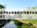 97年属于什么生肖年,97年属于什么生肖年多大了