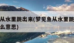 梦见鱼从水里跳出来(梦见鱼从水里跳出来咬我是什么意思)