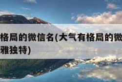 大气有格局的微信名(大气有格局的微信名哪些更高雅独特)