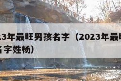 2023年最旺男孩名字（2023年最旺男孩名字姓杨）